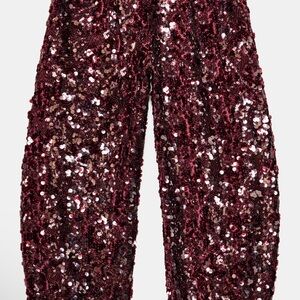 Zara Burgundy Sequin Cropped Pants

Size xs